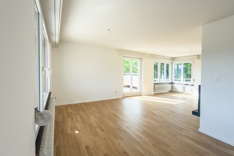 Wohnen wie im Einfamilienhaus - Grosszügige 4.5-Zi.-Attikawohnung mit grosser Terrasse (10)