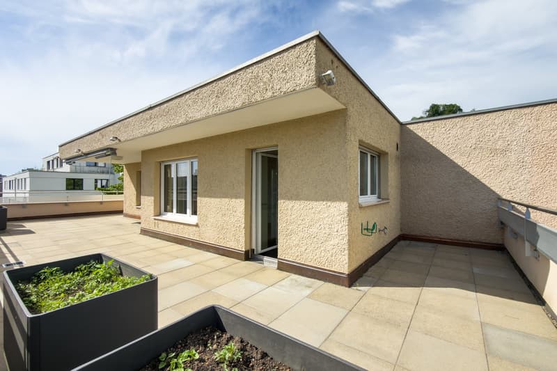Wohnen wie im Einfamilienhaus - Grosszügige 4.5-Zi.-Attikawohnung mit grosser Terrasse (5)