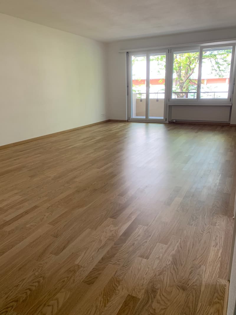 3 Zi.-Wohnung mit grosser Terrasse, stadtnah und ruhig (8)