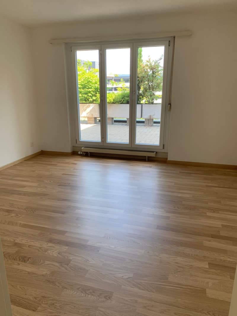 3 Zi.-Wohnung mit grosser Terrasse, stadtnah und ruhig (9)