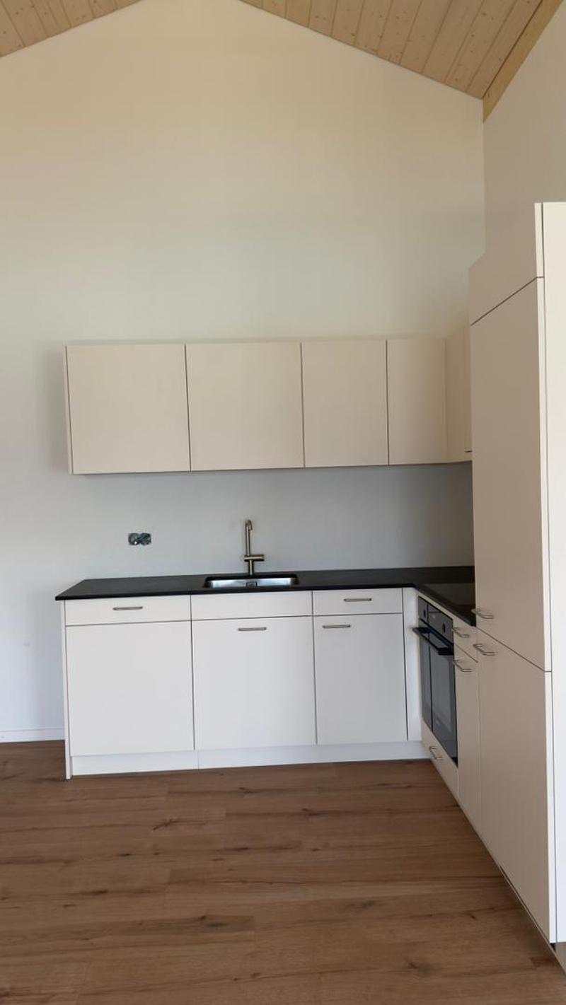 modern kitchen with white cabinets, black countertops, stainless steel sink, wooden floor