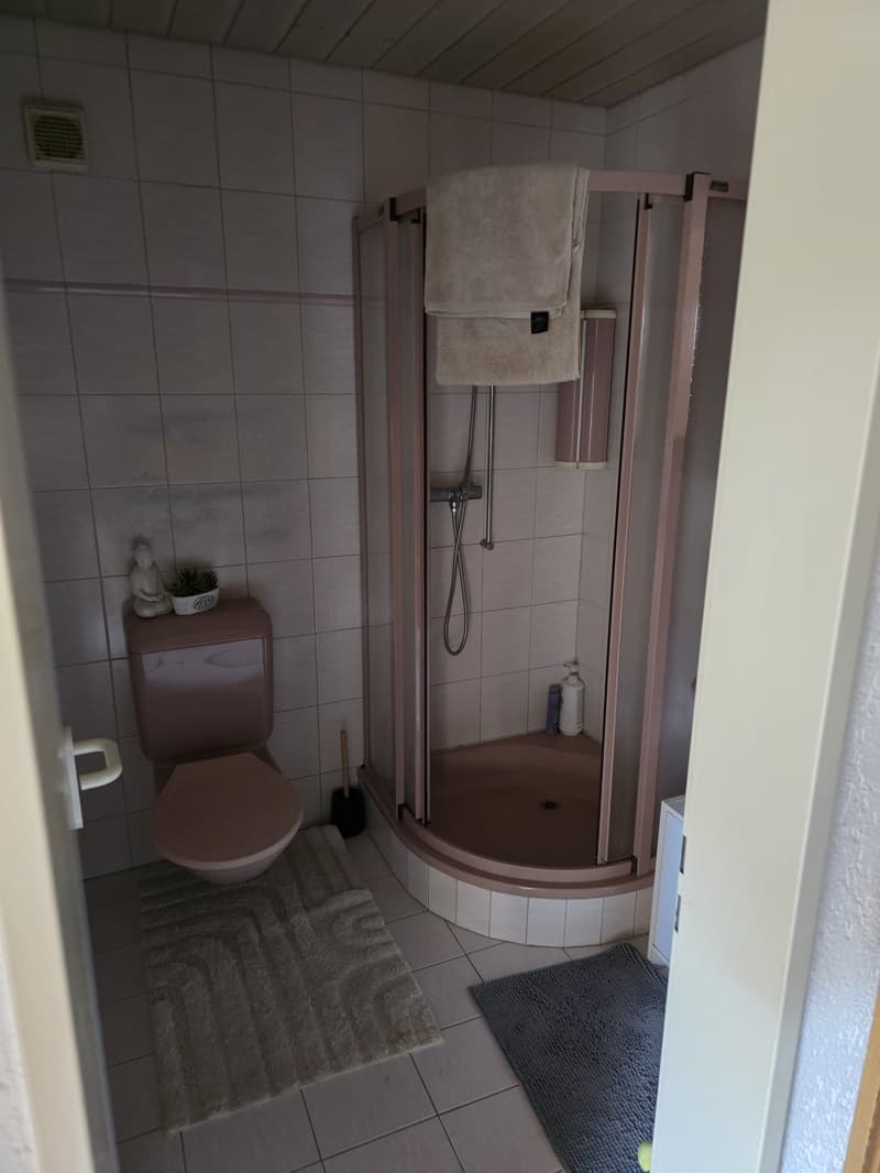 2-Bedroom Attic Apartment (7)
