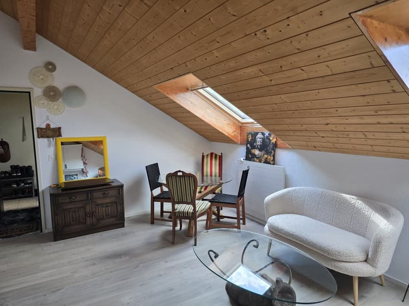 2-Bedroom Attic Apartment (2)