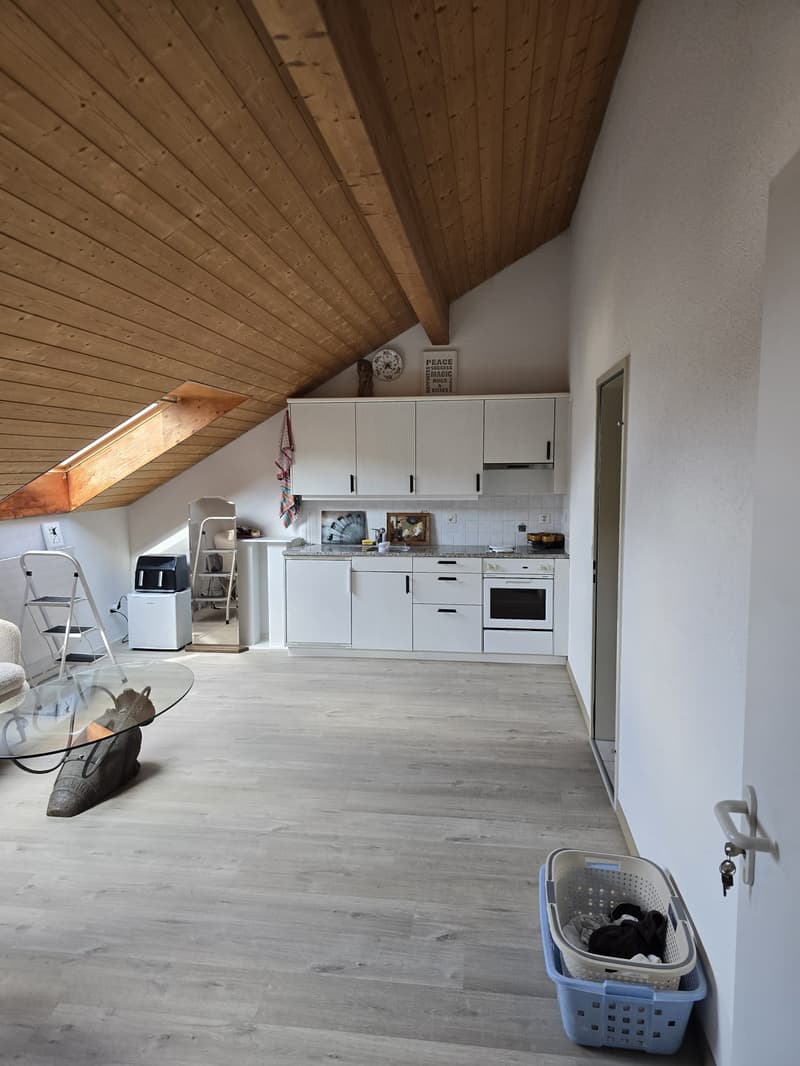 2-Bedroom Attic Apartment (4)