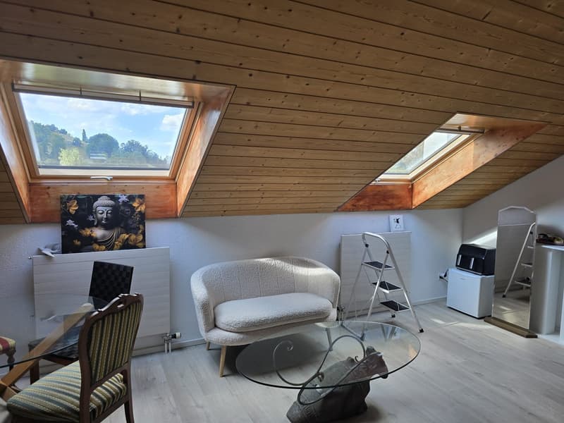 2-Bedroom Attic Apartment (1)