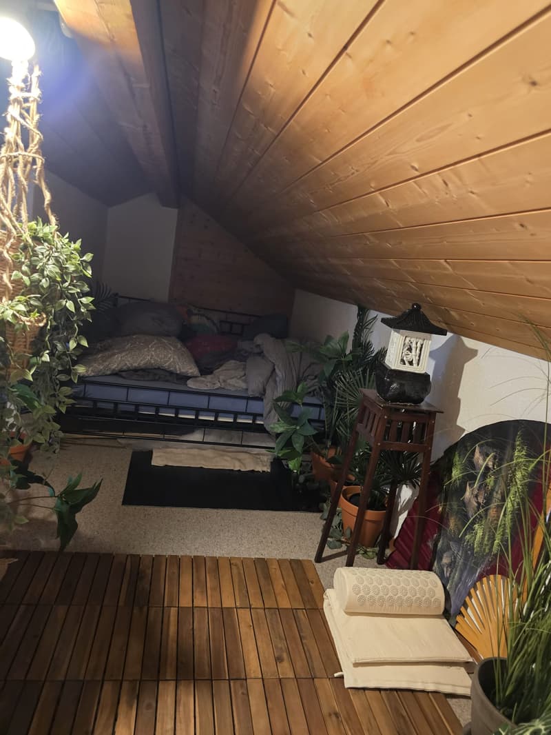 2-Bedroom Attic Apartment (6)