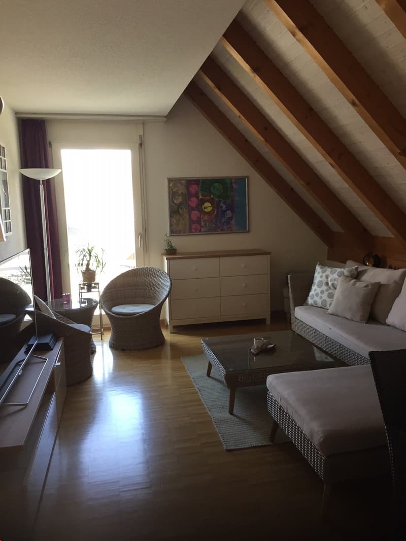 zu vermieten 2 1/2-Zimmerwohnung (1)