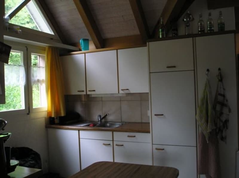 zu vermieten 2 1/2-Zimmerwohnung (3)