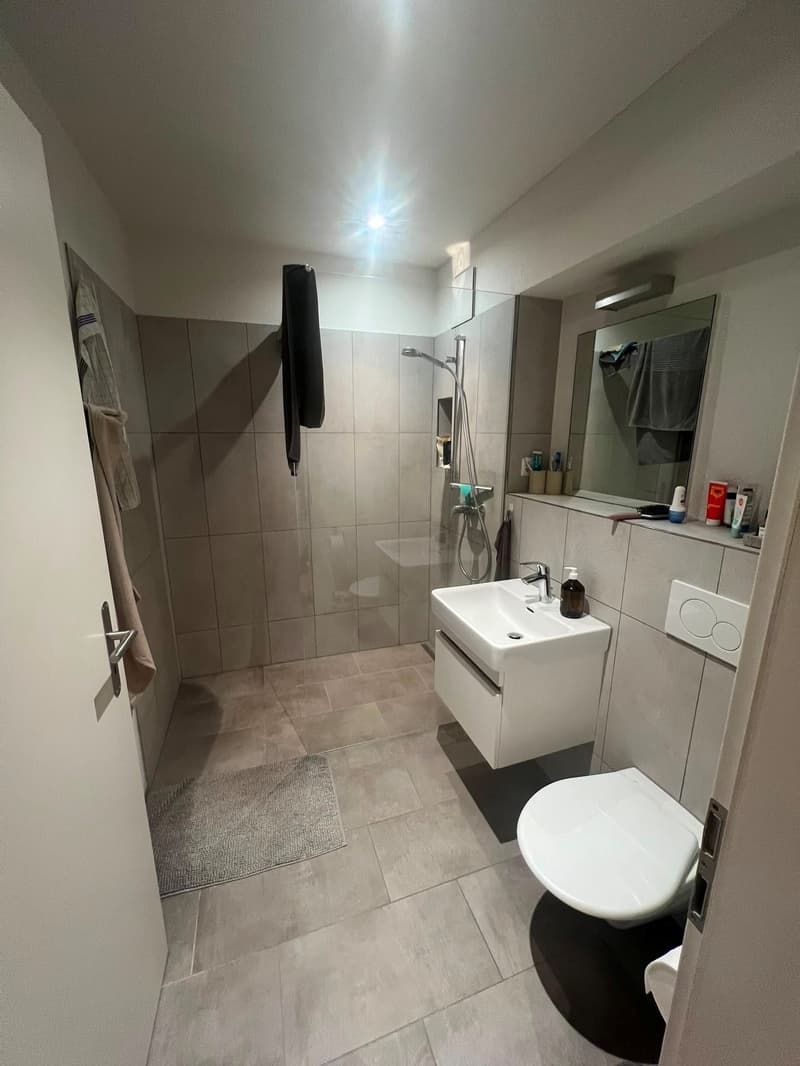 Moderne 3 1/2 Zimmer-Wohnung an bester Lage (2)
