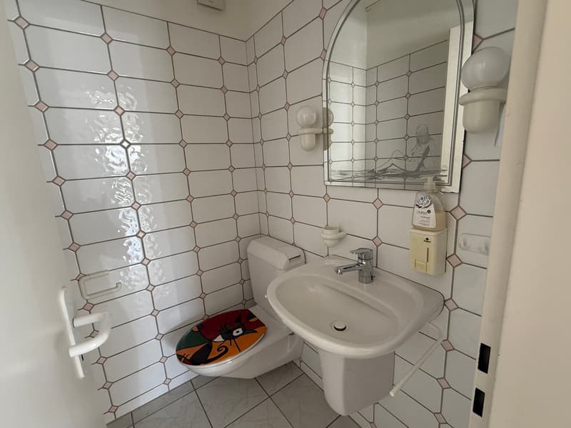 Ladengeschäft/Praxisräume/Büroräume/Kanzlei (10)