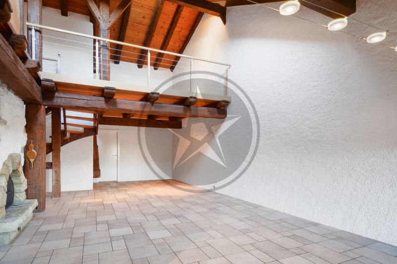 Beautiful renovated semi-detached house with 2 apartments (5)