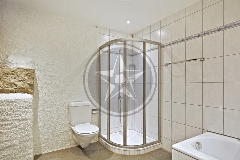 Beautiful renovated semi-detached house with 2 apartments (9)