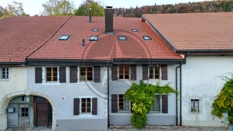 Beautiful renovated semi-detached house with 2 apartments (13)