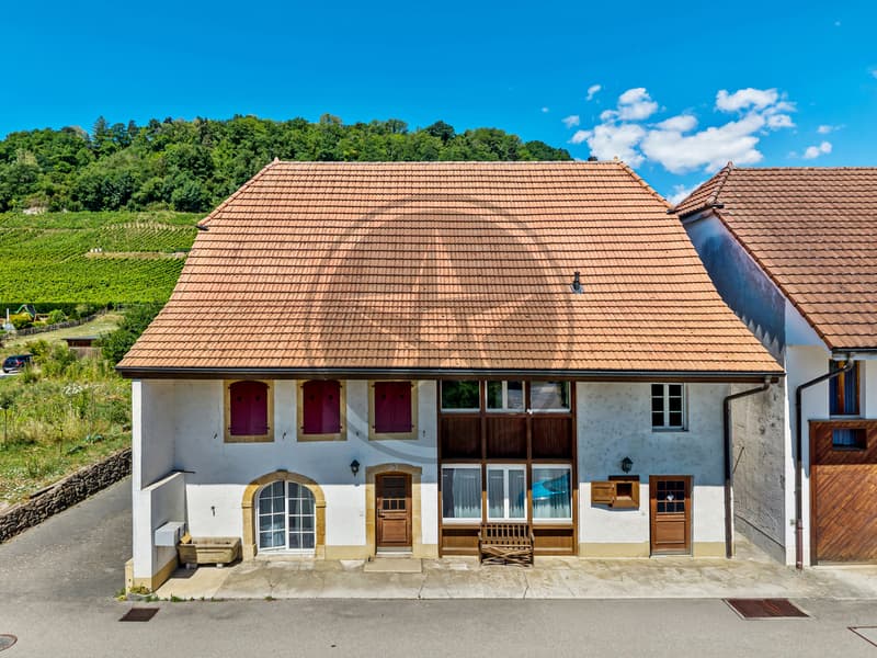 Charaktereigentum im Herzen von Vully (1)