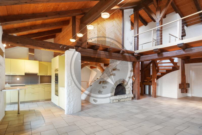 Magnifique ferme mitoyenne rénovée comprenant 2 appartements (1)