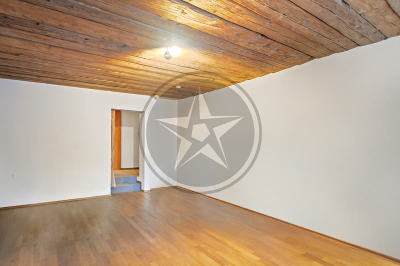 Magnifique ferme mitoyenne rénovée comprenant 2 appartements (10)