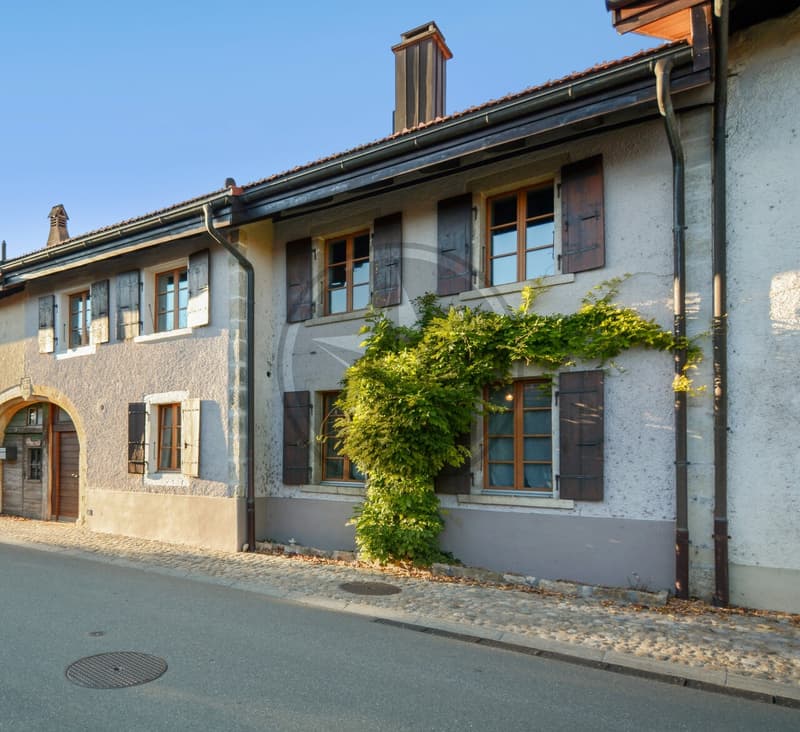 Magnifique ferme mitoyenne rénovée comprenant 2 appartements (12)