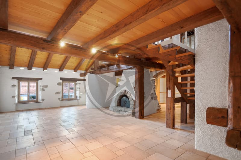 Magnifique ferme mitoyenne rénovée comprenant 2 appartements (3)