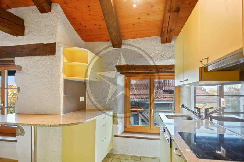 Magnifique ferme mitoyenne rénovée comprenant 2 appartements (6)