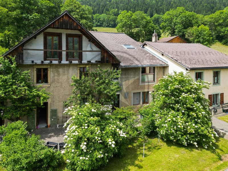 Ferme mitoyenne rénovée avec logements, grange et terrain à bâtir (11)