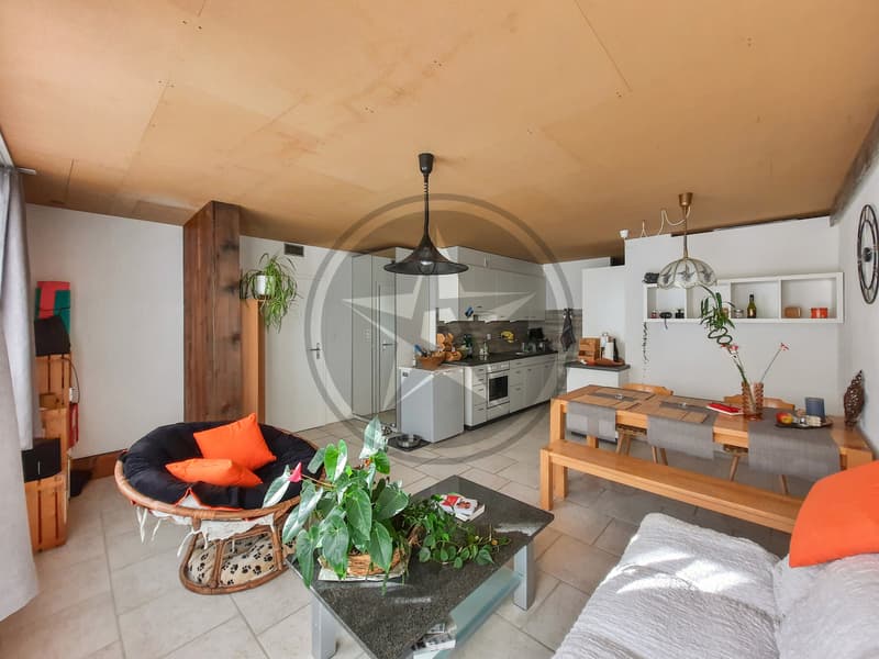 Ferme mitoyenne rénovée avec logements, grange et terrain à bâtir (3)