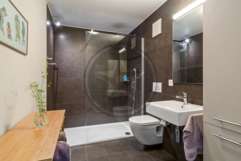 Spacieux appartement traversant de 3,5 pièces avec grand balcon (10)
