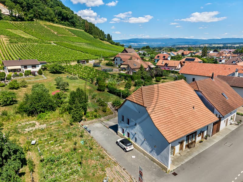 Propriété de caractère au coeur du Vully (3)