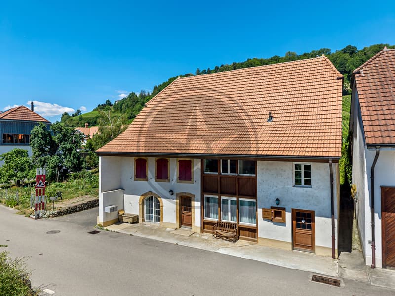 Propriété de caractère au coeur du Vully (2)