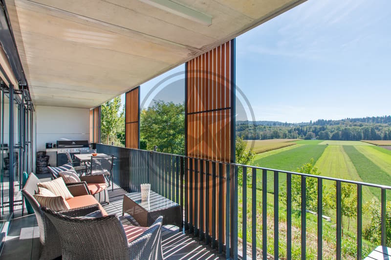 Elégant 3,5 pièces contemporain avec vue ouverte sur la campagne (5)