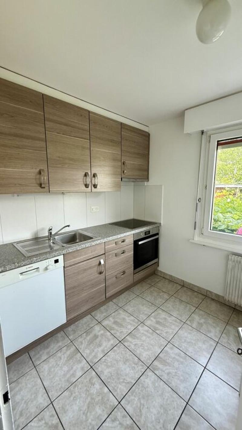 2 1/2 locali con balcone bello (3)