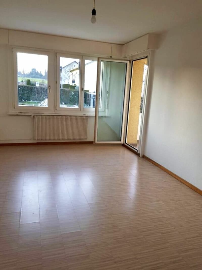 2 1/2 locali con balcone bello (8)