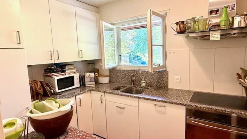 3 1/2-Zimmer-Maisonette-Wohnung im Schlosspark (4)