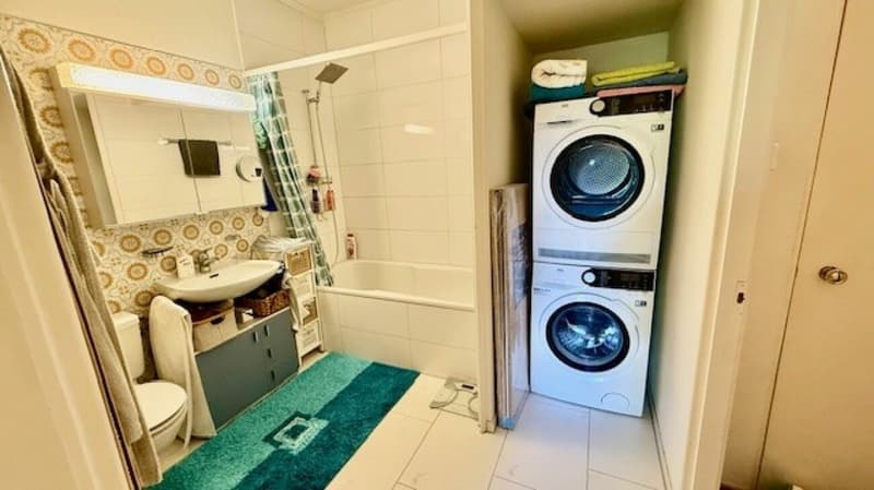 3 1/2-Zimmer-Maisonette-Wohnung im Schlosspark (6)