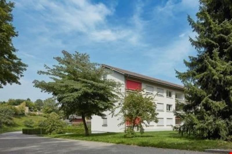 Bello appartamento di 5 locali al piano rialzato (2)