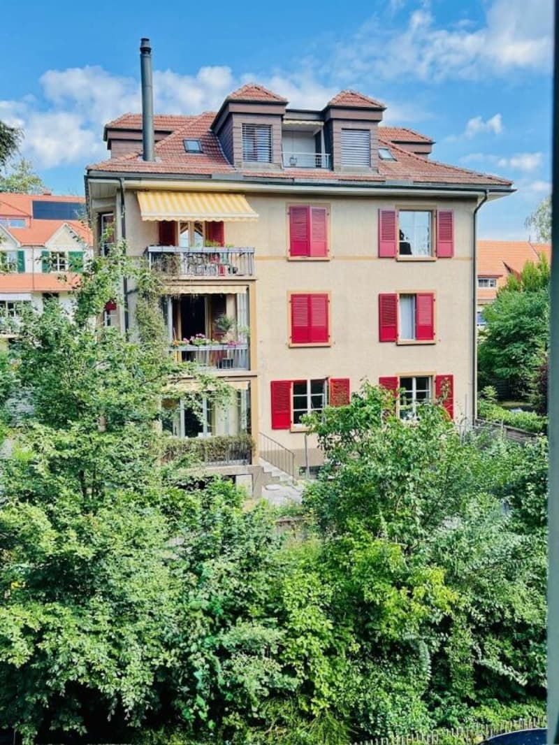 2 1/2-Zimmer-Dachwohnung mit schöner Aussicht (1)