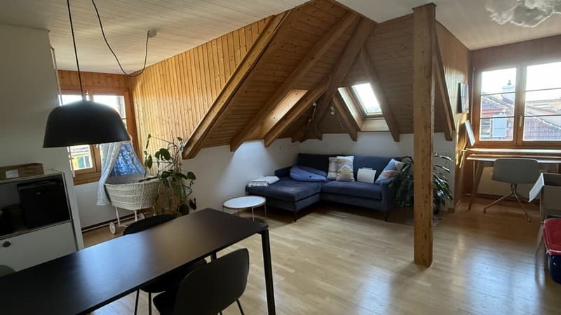 Appartement en duplex de 2 1/2 pièces avec belle vue (11)