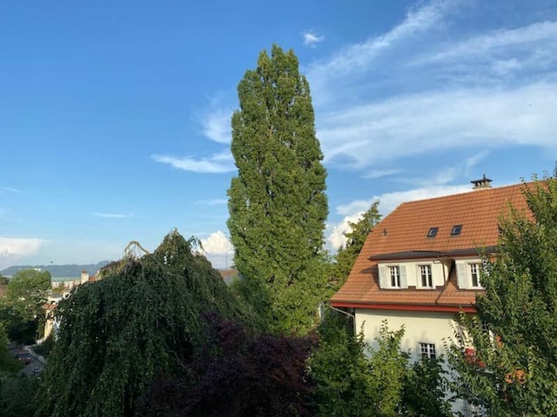 Appartement en duplex de 2 1/2 pièces avec belle vue (14)