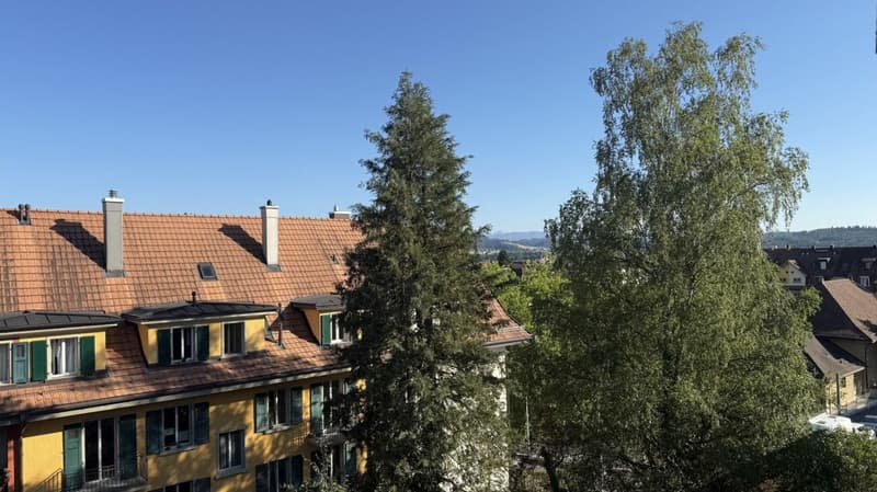 Appartement en duplex de 2 1/2 pièces avec belle vue (3)