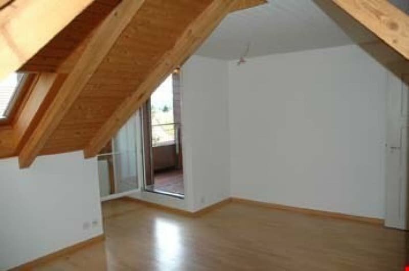 Appartement en duplex de 2 1/2 pièces avec belle vue (10)