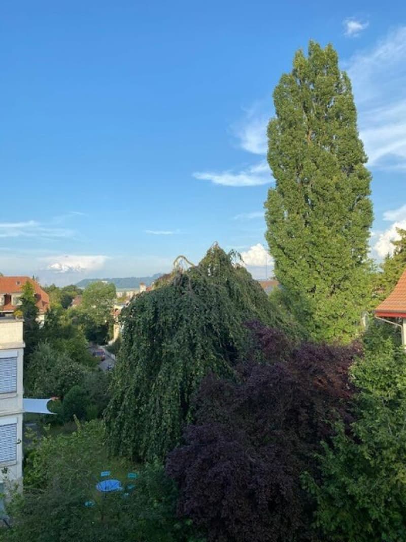 Appartement en duplex de 2 1/2 pièces avec belle vue (15)