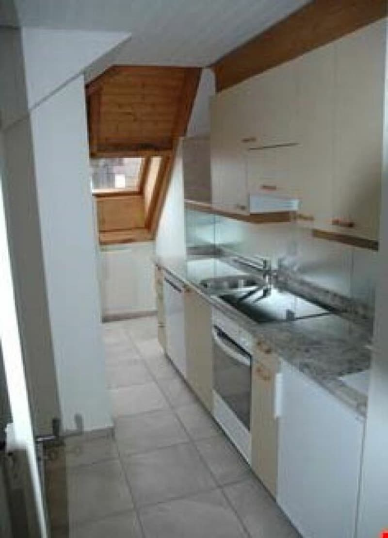 Appartement en duplex de 2 1/2 pièces avec belle vue (4)