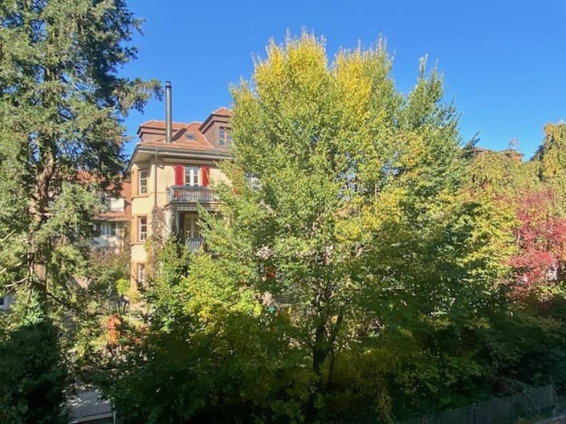 Appartement en duplex de 2 1/2 pièces avec belle vue (13)