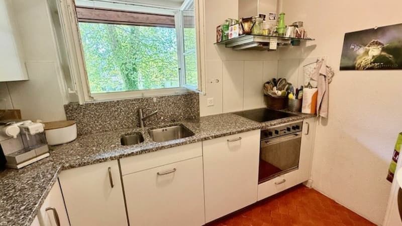 3 1/2-Zimmer-Maisonette-Wohnung im Schlosspark (4)