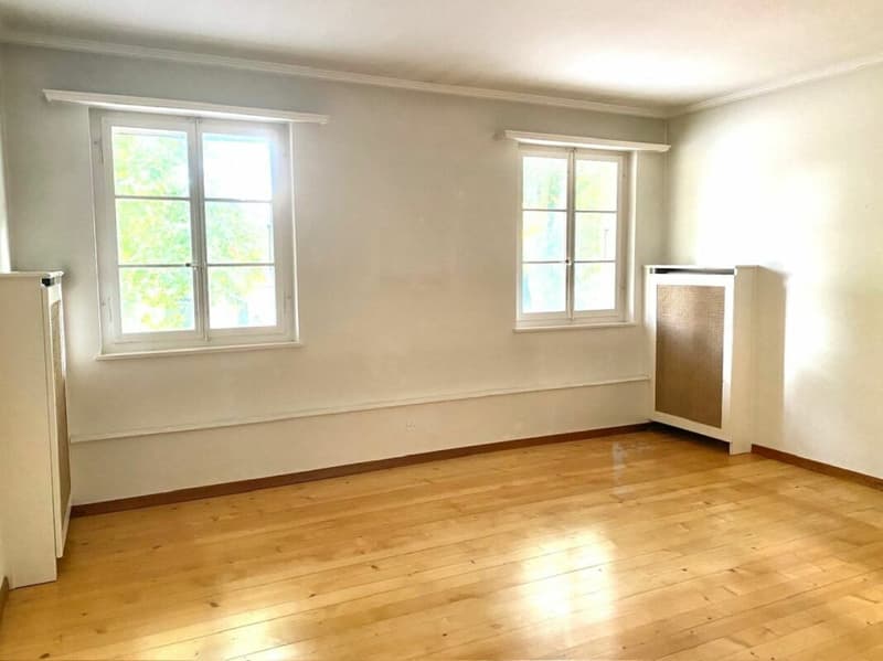 3 1/2-Zimmer-Maisonette-Wohnung im Schlosspark (13)