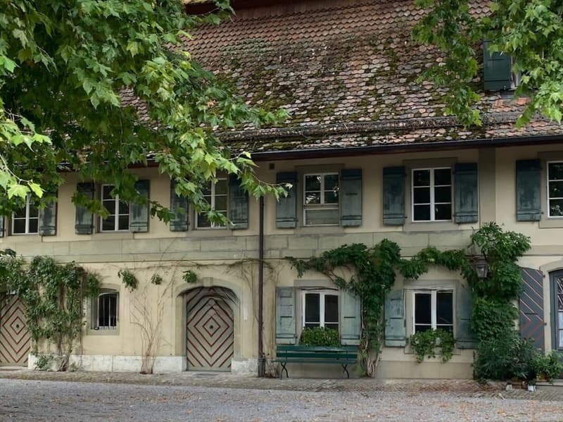 3 1/2-Zimmer-Maisonette-Wohnung im Schlosspark (1)