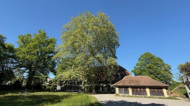 3 1/2-Zimmer-Maisonette-Wohnung im Schlosspark (16)