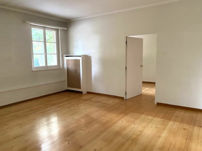 3 1/2-Zimmer-Maisonette-Wohnung im Schlosspark (14)