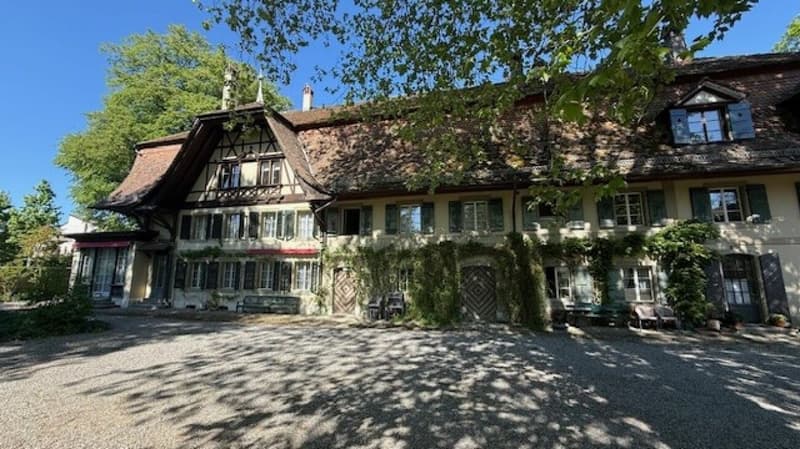 3 1/2-Zimmer-Maisonette-Wohnung im Schlosspark (15)