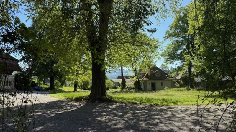 3 1/2-Zimmer-Maisonette-Wohnung im Schlosspark (2)