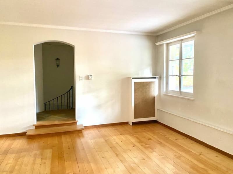 3 1/2-Zimmer-Maisonette-Wohnung im Schlosspark (10)